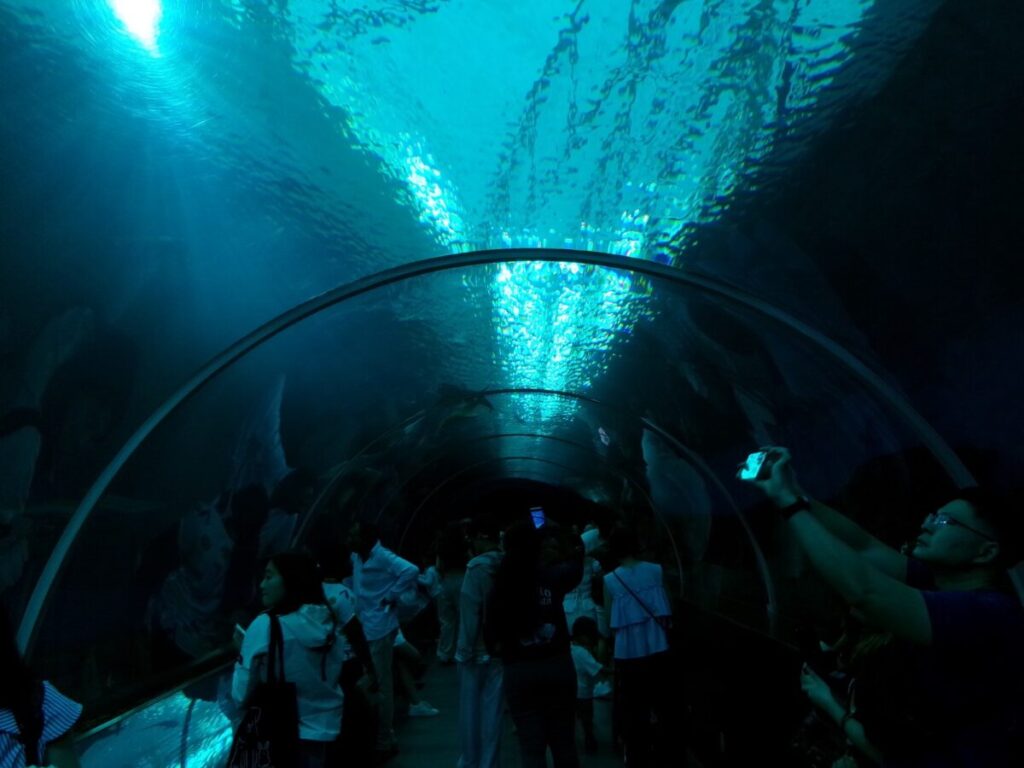 シンガポールの水族館「Singapore Oceanarium」の水槽のトンネル