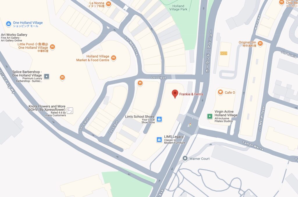 ホーランドビレッジの駅周辺の地図