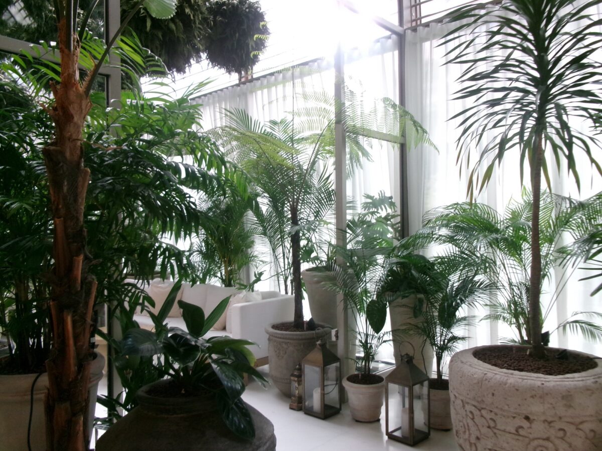 FYSH at Editionのおしゃれな店内