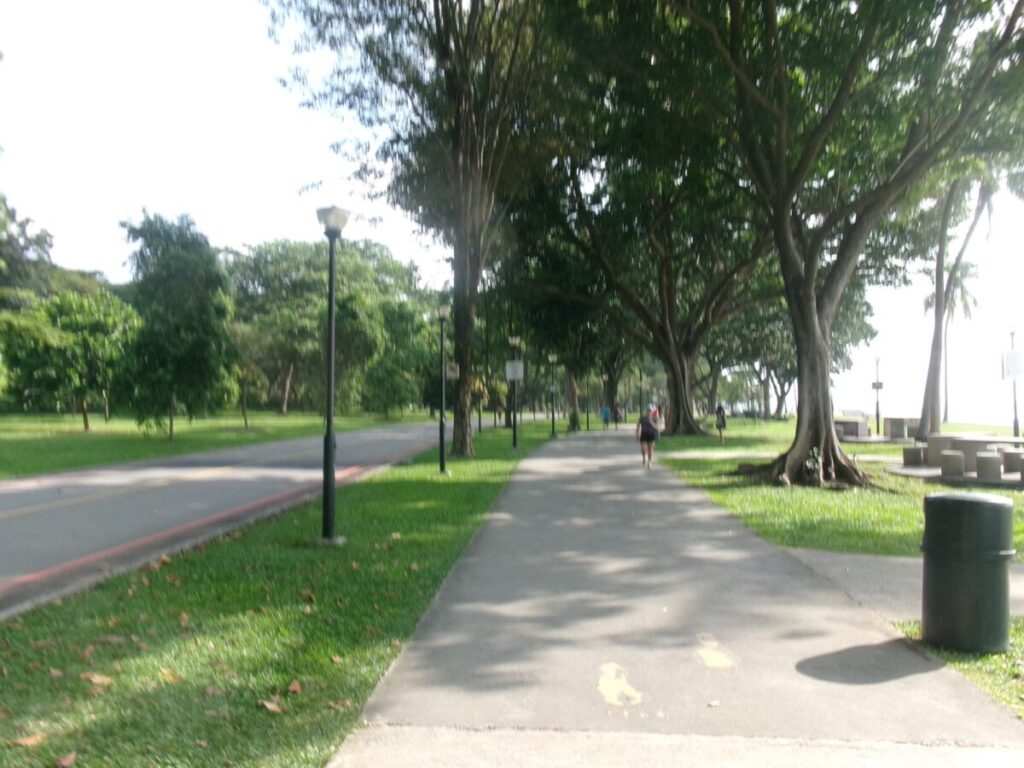 East Coast Parkのビーチ沿いの遊歩道