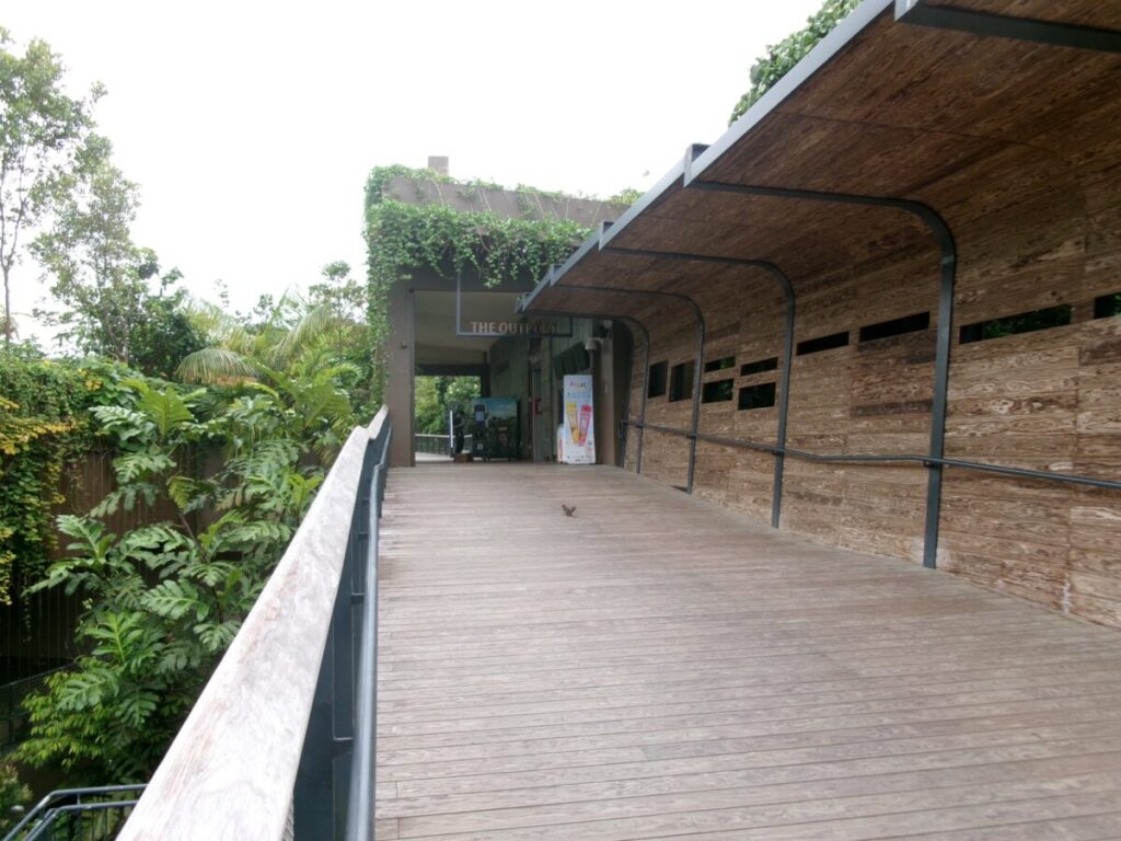 レインフォレストの平坦なコース