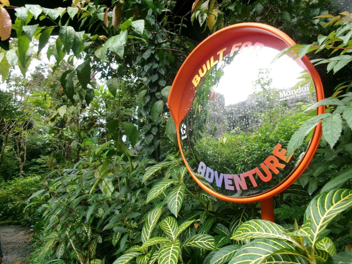 レインフォレストの写真スポット