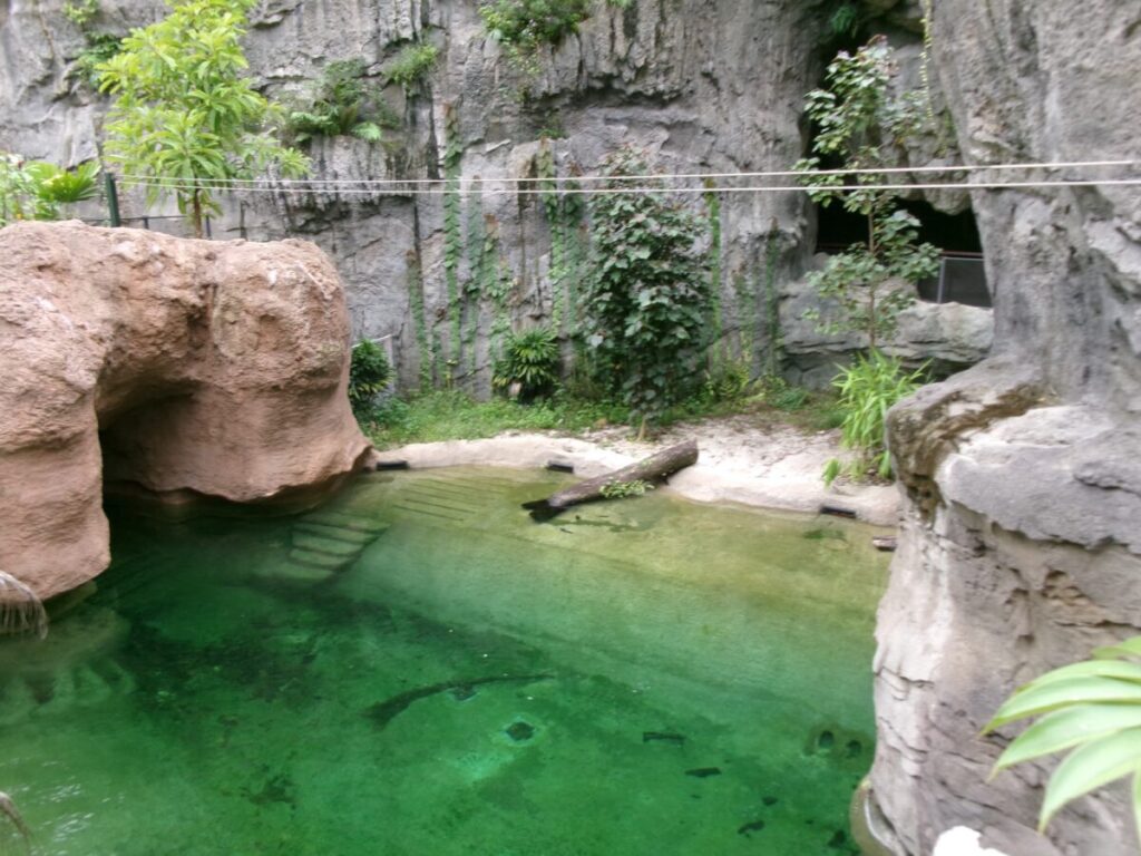 レインフォレストの吊り橋から見るため池