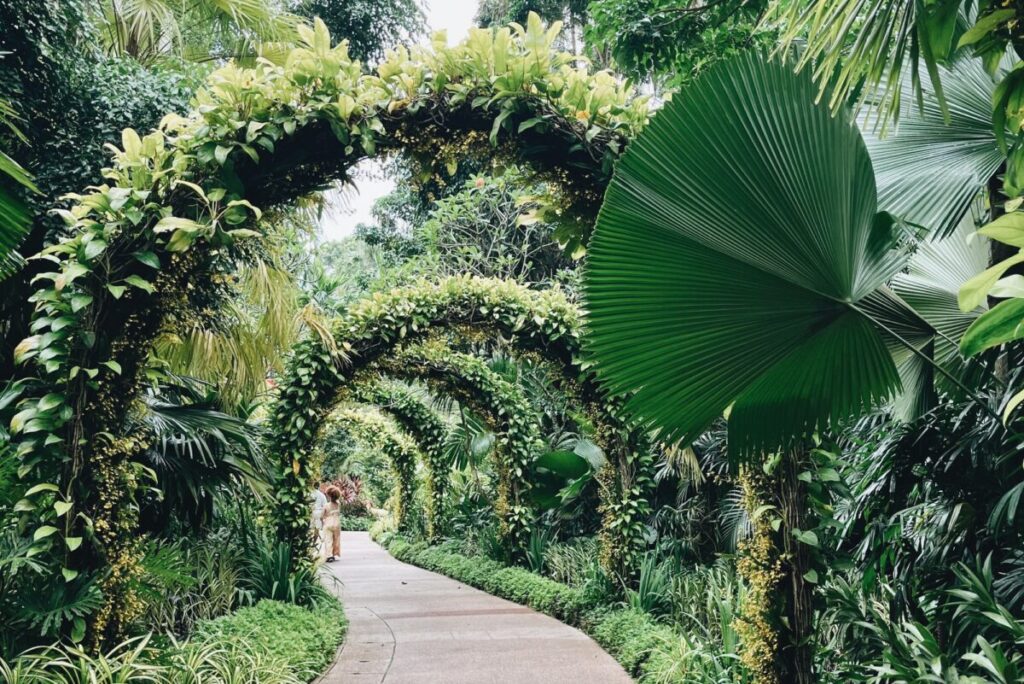 シンガポールの世界遺産、ボタニックガーデン