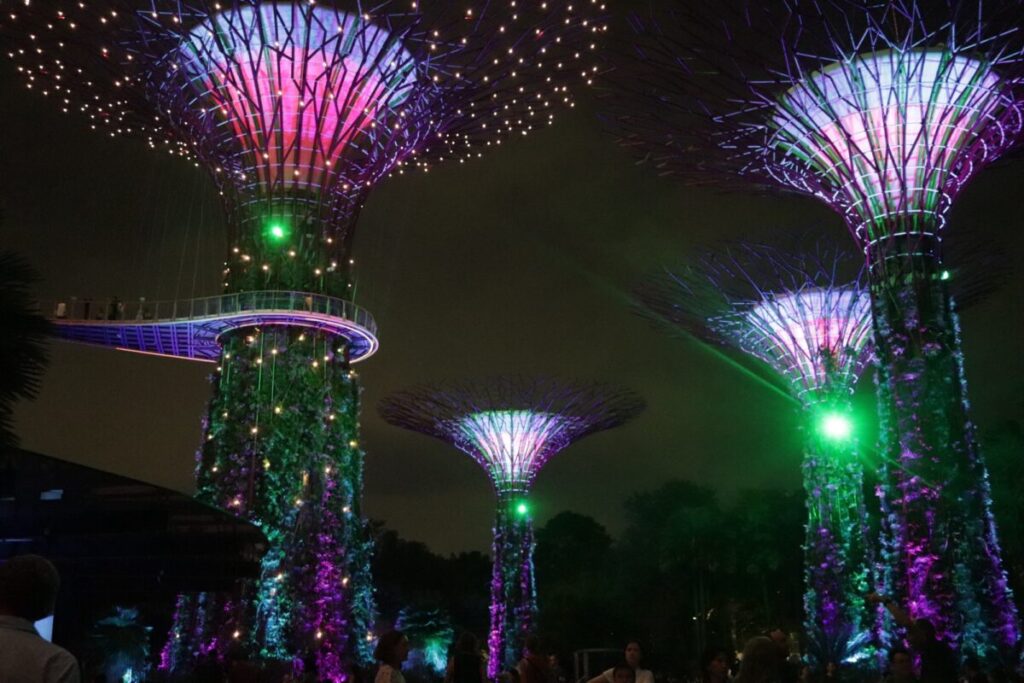 ガーデンズバイザベイの夜のショー