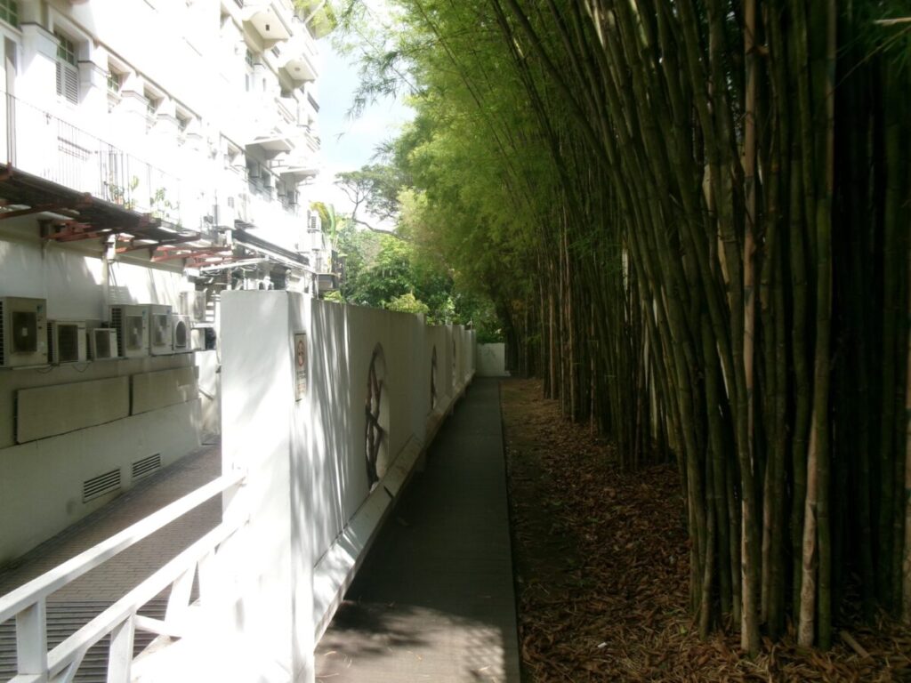 PRARIE by Craftsmenの前の小道