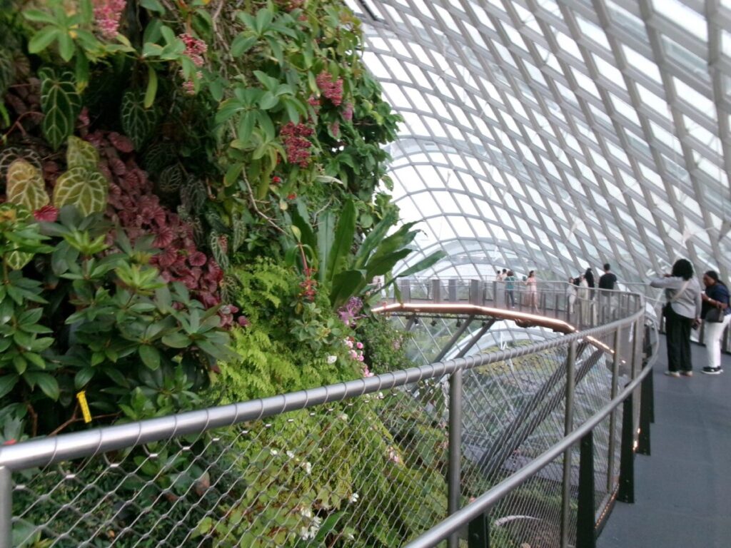 ガーデンズバイザベイのクラウドフォレスト