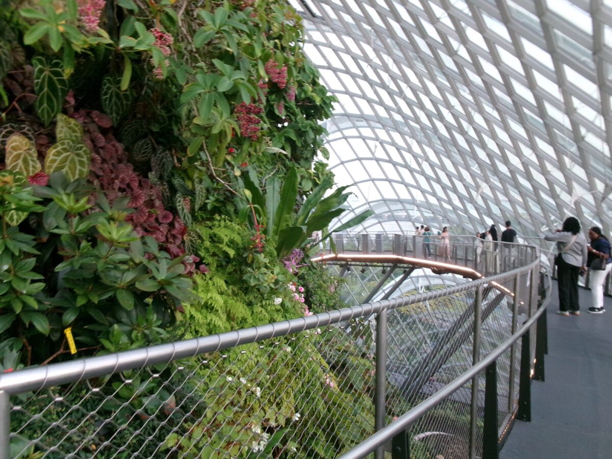 ガーデンズバイザベイのクラウドフォレスト