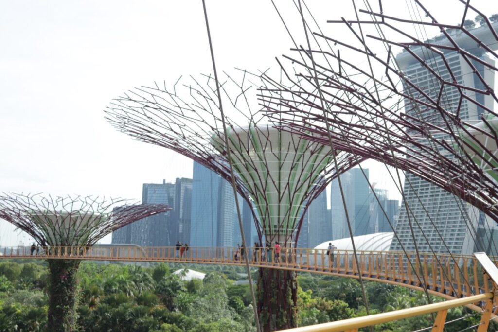 ガーデンズバイザベイのスーパーツリー