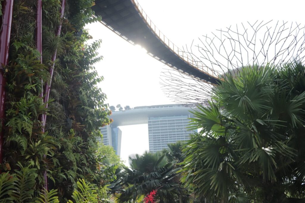 ガーデンズバイザベイのOCBCスカイウェイ