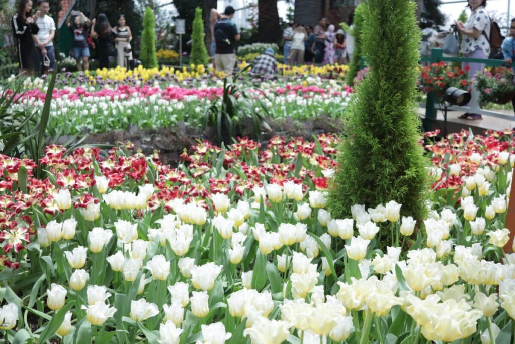 ガーデンズバイザベイのフラワードーム