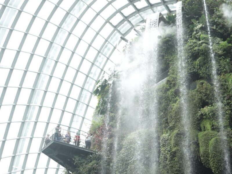 ガーデンズバイザベイのクラウドフォレスト