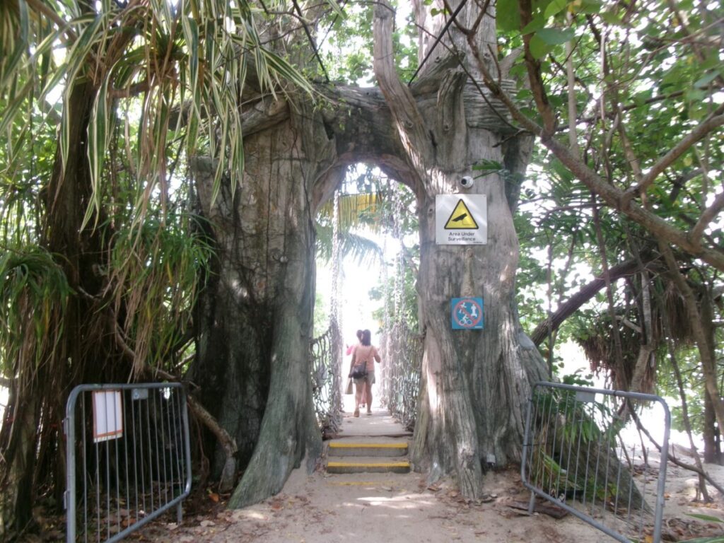 セントーサのパラワンビーチの吊り橋