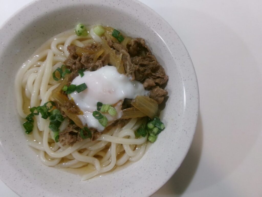 温玉肉うどんとホーカー皿