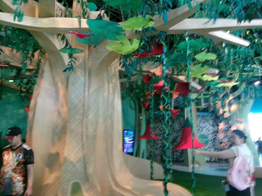 curiosity coveの木の遊具