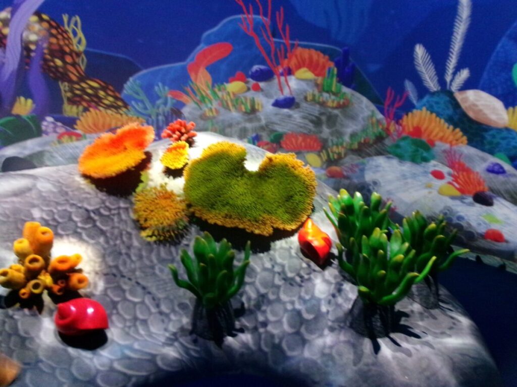 curiosity coveのカラフルな遊具