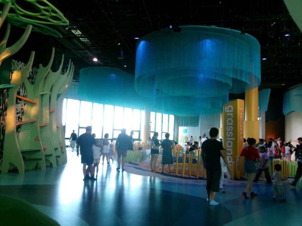 curiosity coveのプレグラの様子