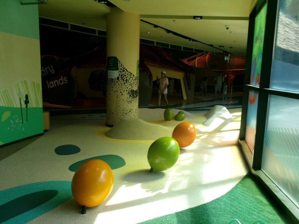 curiosity coveの小さい子向けのエリア