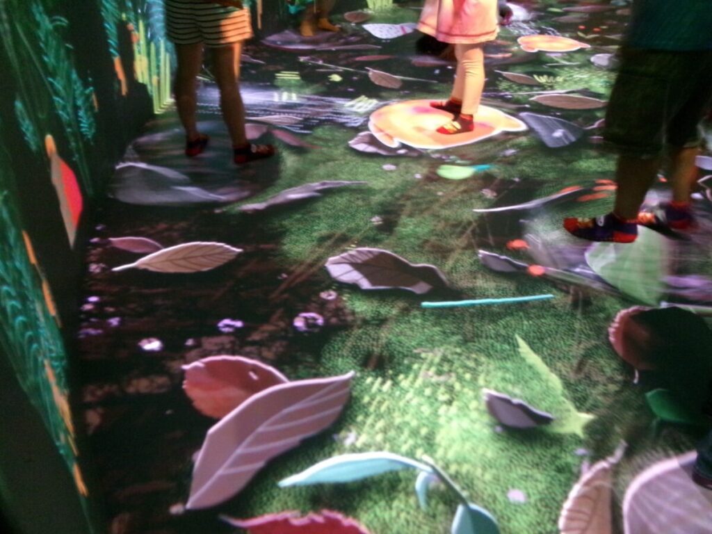 curiosity coveのイマーシブエリア