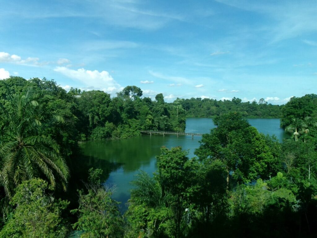 curiosity coveから見る景色