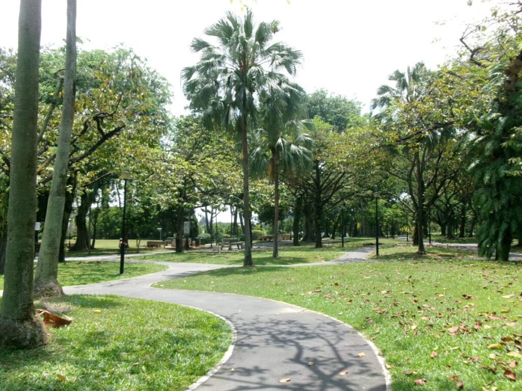 ウエストコーストパークの緑豊かなエリア