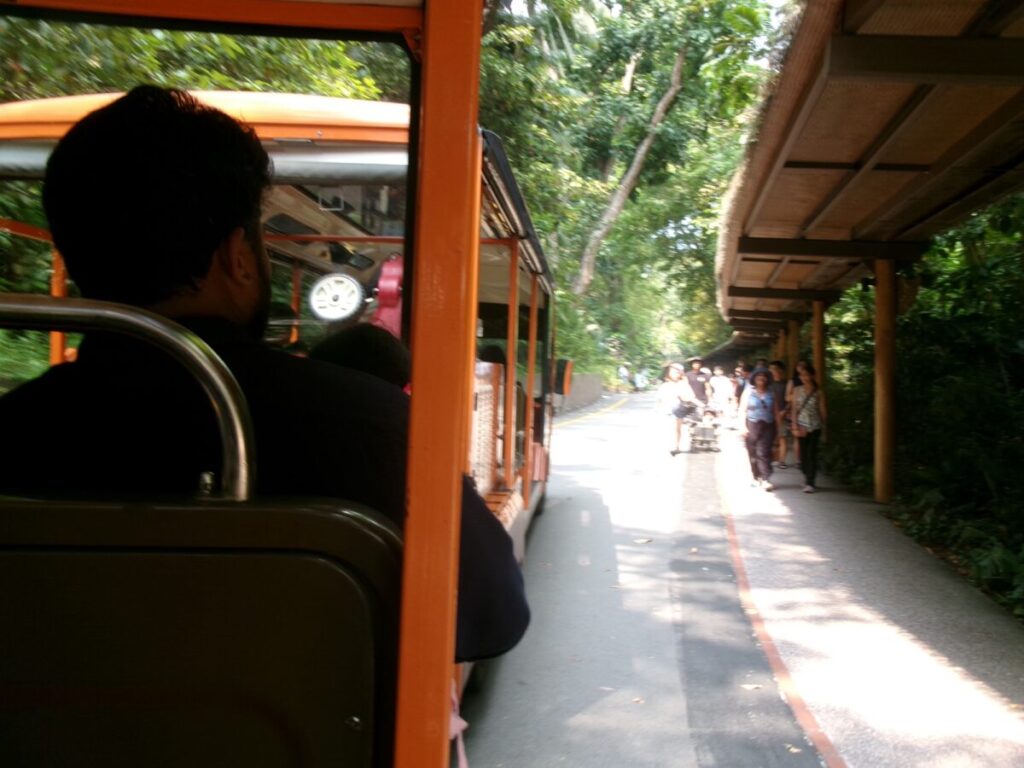 シンガポール動物園のトラム