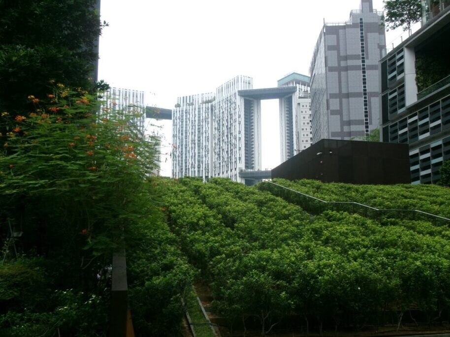 高級HDBピナクルの外観