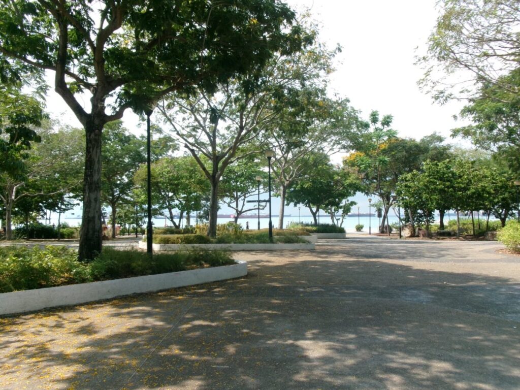 いーストコーストパークの海沿いの遊歩道