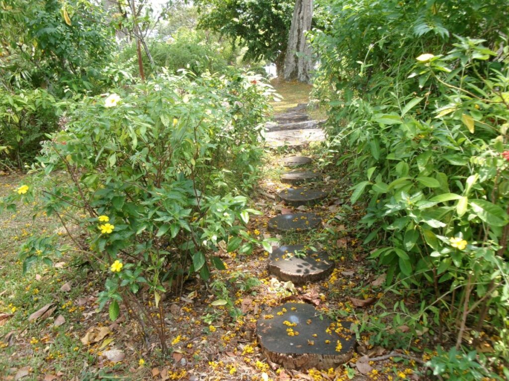 PS.Cafe近くの木の切り株の遊び場