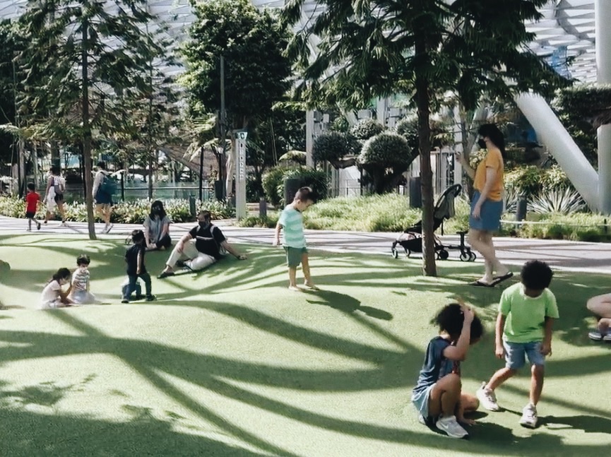 canopy parkの人工芝の様子