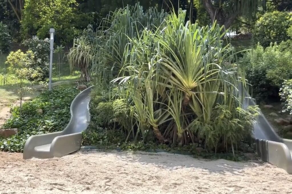 ジュリビーパークの滑り台