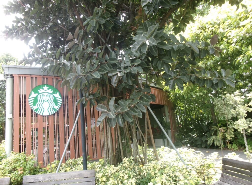 ガーデンズバイザベイのスタバ