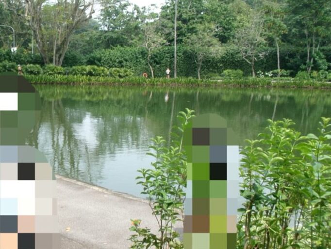 ボタニックガーデンのスワンレイク